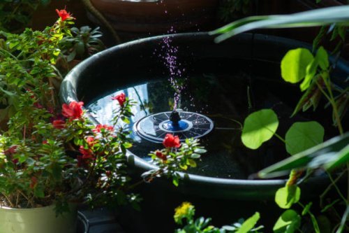 small solar fountain running in a garden pond surrounded by plants - garden decoration stock pictures, royalty-free photos & images