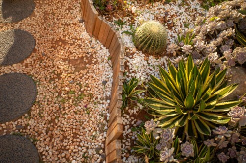 small succulent garden - garden decoration stockfoto's en -beelden