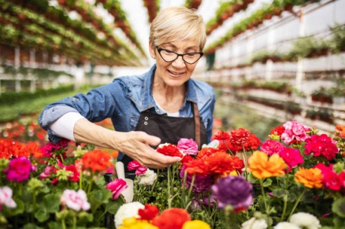 smelling flowers - garden decoration stock pictures, royalty-free photos & images