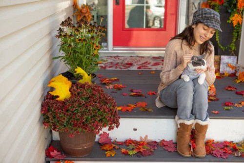 smiling girl hugging cat on autumn porch - garden decoration stock pictures, royalty-free photos & images