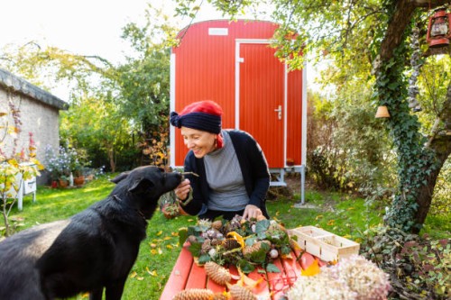 smiling senior woman with red dyed hair stroking her dog while tinkering autumnal decoration - garden decoration stock pictures, royalty-free photos & images