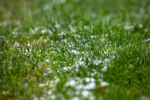 snow in grass - garden decoration stock pictures, royalty-free photos & images