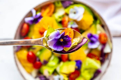 spoon of mixed salad with avocado, tomatoes and edible flower, close-up - food stock pictures, royalty-free photos & images