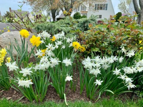 spring garden - garden decoration stock pictures, royalty-free photos & images