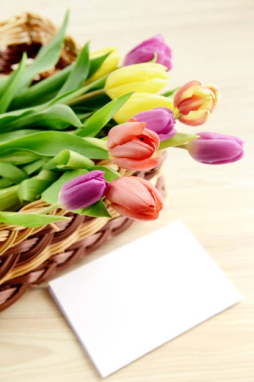 springtime decoration with tulips and white note paper copy spac - garden decoration stock pictures, royalty-free photos & images