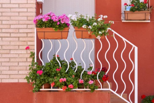 stairs with flower pots on the handrail on the outside of a house with door and window in the background, front view - garden decoration stock pictures, royalty-free photos & images