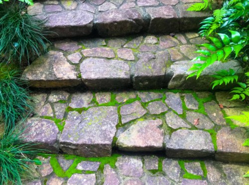 steps - garden decoration stock pictures, royalty-free photos & images