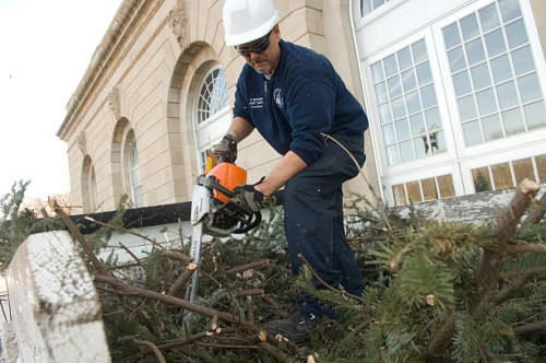 Steve Weaver, Architect of the Capitol, uses a chainsaw to cut up the remnants of the U.S. Botanic Garden's Christmas tree.