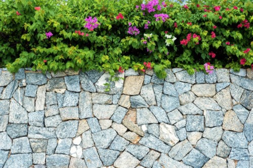 stone wall with tropical floral copy space scene - garden decoration stock pictures, royalty-free photos & images
