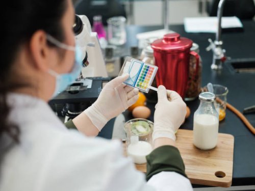 student with gloves examining foods - food stock pictures, royalty-free photos & images