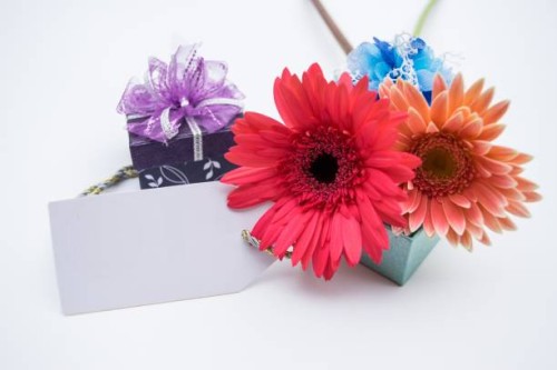 studio macro of mother's day flowers with soft shadows against a white background - garden decoration stock pictures, royalty-free photos & images