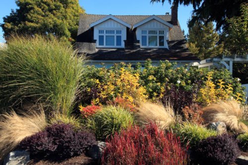 stunning autumn garden - garden decoration stock pictures, royalty-free photos & images