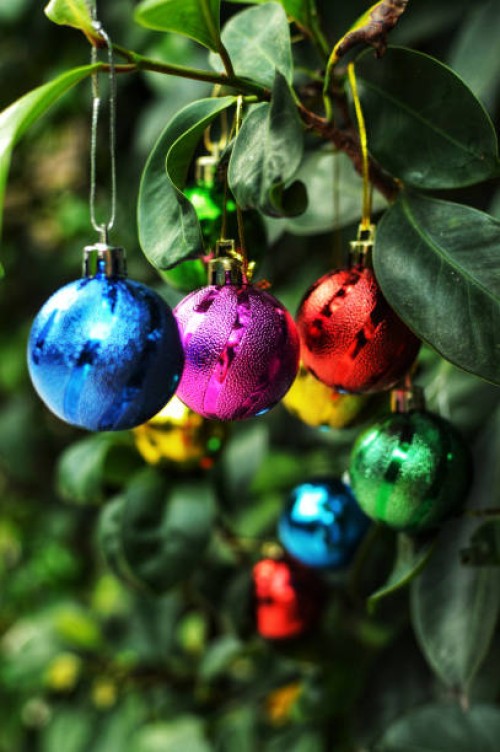 summer christmas - garden decoration stock pictures, royalty-free photos & images
