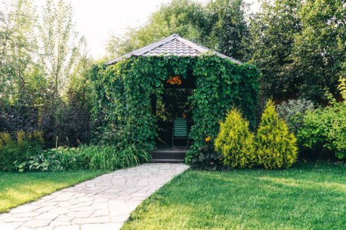 summer gazebo overgrown with green ivy and a stone path. - garden decoration stock pictures, royalty-free photos & images