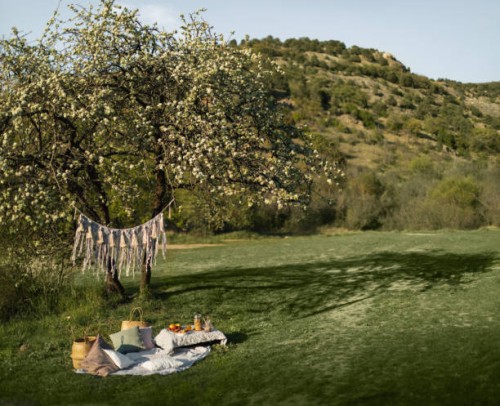 summer healthy vegetarian picnic in park. fruits, cacao, honey pancakes and organic granola on linen tablecloth decorated with pillows and wicker basket. - garden decoration stock pictures, royalty-free photos & images
