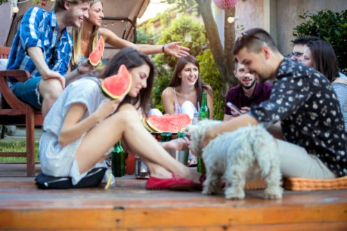 summer party with watermelon - garden decoration stock pictures, royalty-free photos & images