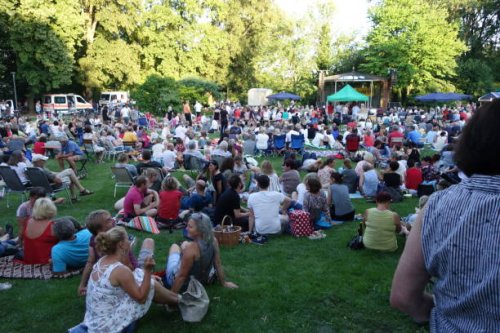 summer serenade in pastures in the upper palatinate - concert stock pictures, royalty-free photos & images