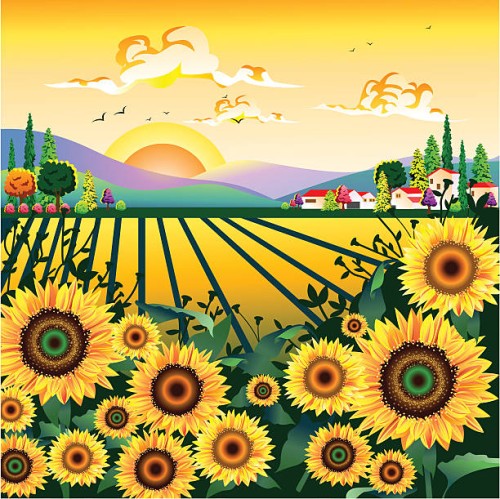 sunflower garden - garden decoration stock illustrations