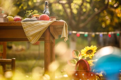 sunflower in the meadow next to a table with abundance of fruits and homemade sweets - garden decoration stock pictures, royalty-free photos & images