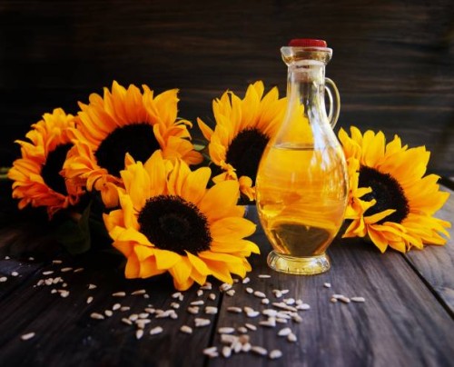sunflowers, sunflower seeds and a bottle of oil - garden decoration stock pictures, royalty-free photos & images