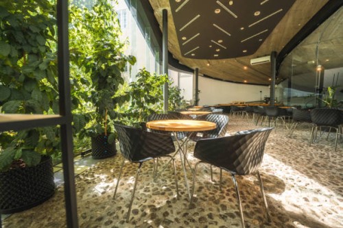 sunlit bistro terrace with large plants - garden decoration stock pictures, royalty-free photos & images