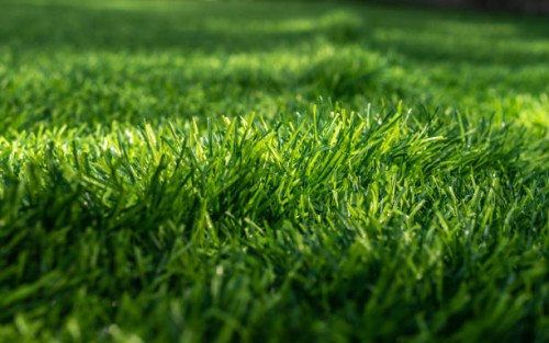 surface of green artificial turf used for covering sport arena or garden. - garden decoration stock pictures, royalty-free photos & images