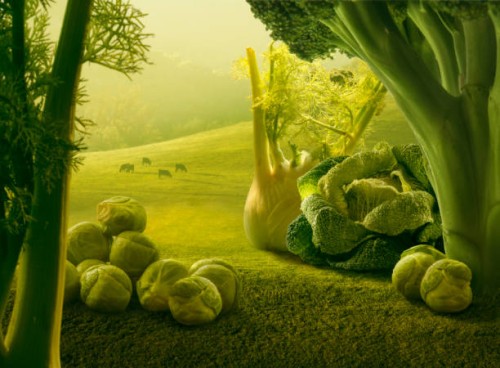 surreal giant green vegetables in sunset field - food stock pictures, royalty-free photos & images