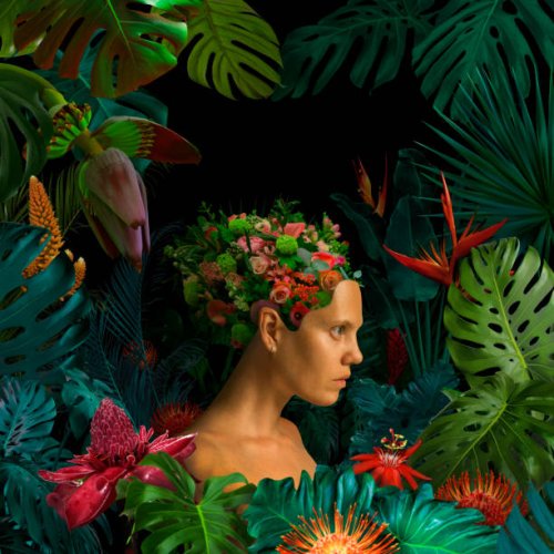 surreal jungle portrait - garden decoration stock pictures, royalty-free photos & images