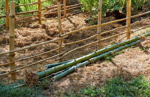 sustainable bamboo materials in agricultural setting - garden decoration stock pictures, royalty-free photos & images