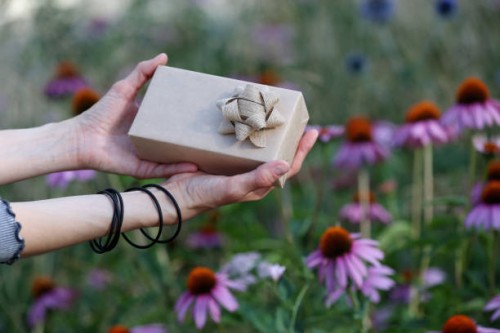 sustainable lifestyle. gift box wrapped brown paper on blurred garden background - garden decoration stock pictures, royalty-free photos & images