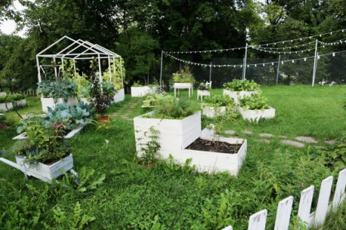 sustainable lifestyle. small farmer garden with homegrown produce and plants - garden decoration stock pictures, royalty-free photos & images