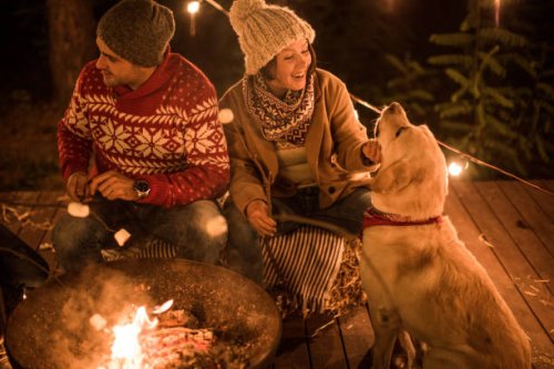 sweet holidays - garden decoration stock pictures, royalty-free photos & images