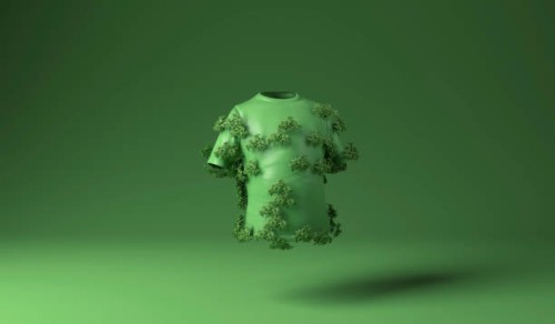 t shirt covered with green plants against green background - fashion stock pictures, royalty-free photos & images