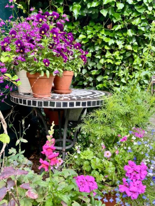 table and plants - garden decoration photos et images de collection