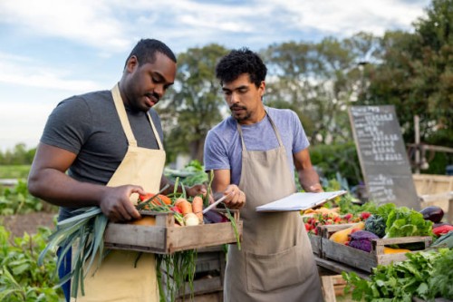 team of farmers selling organic vegetables at a farmer's market - food stock pictures, royalty-free photos & images
