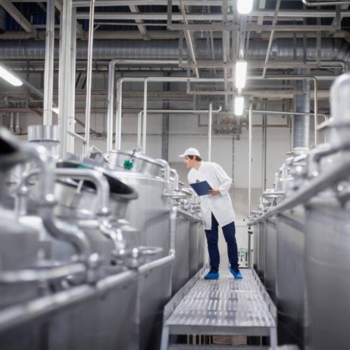 technician in ice cream factory - food fotografías e imágenes de stock