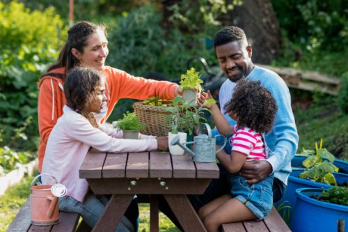 temps d’allocation familial - garden decoration photos et images de collection