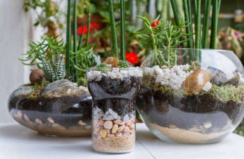 terrariums - garden decoration stock pictures, royalty-free photos & images