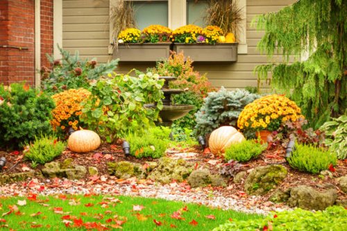 thanksgiving autumn decoration - garden decoration stock pictures, royalty-free photos & images