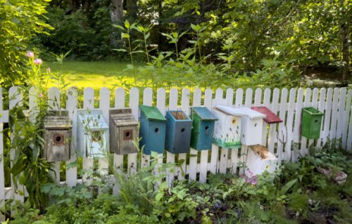 the birds can pick a new home for free - garden decoration stock pictures, royalty-free photos & images