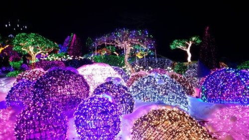 the garden of morning calm - garden decoration stock pictures, royalty-free photos & images