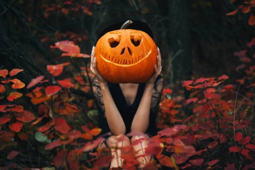 the girl sits in the forest and holds a pumpkin in her hands. halloween pumpkin. autumn background. - fashion stock pictures, royalty-free photos & images