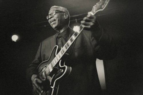 the guitarist! - concert stock pictures, royalty-free photos & images