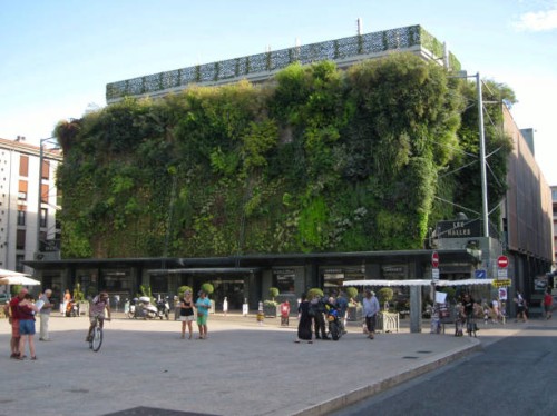 the hanging garden of the halles d'avignon - garden decoration stock pictures, royalty-free photos & images