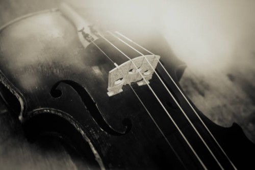 the old violin - concert stock pictures, royalty-free photos & images