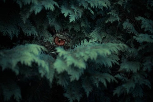 the other day in the garden - garden decoration stock pictures, royalty-free photos & images