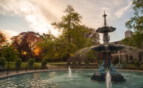 the peacock fountain during the sunset in christchurch botanic gardens, new zealand. - garden decoration stock pictures, royalty-free photos & images