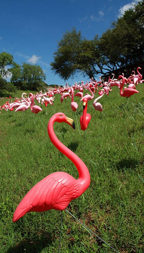 there goes the neighborhood - garden decoration stock pictures, royalty-free photos & images
