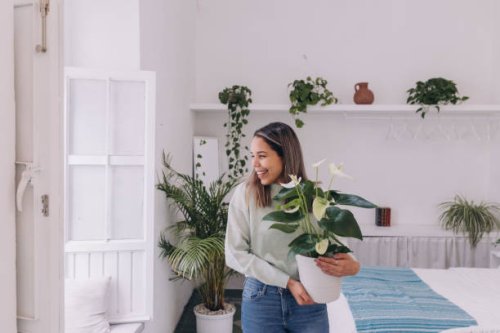 three quarter length of a woman smiling with a plant - home decoration stock pictures, royalty-free photos & images
