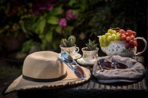 today was a scorcher. 213/. - garden decoration stock pictures, royalty-free photos & images